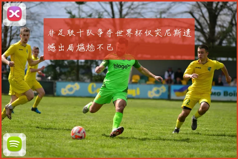 非足联十队争夺世界杯仅突尼斯遗憾出局尴尬不已