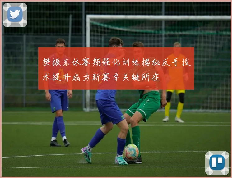 樊振东休赛期强化训练揭秘反手技术提升成为新赛季关键所在