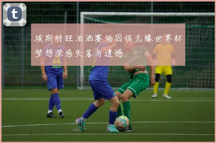埃斯特旺泪洒赛场因伤无缘世界杯梦想深感失落与遗憾