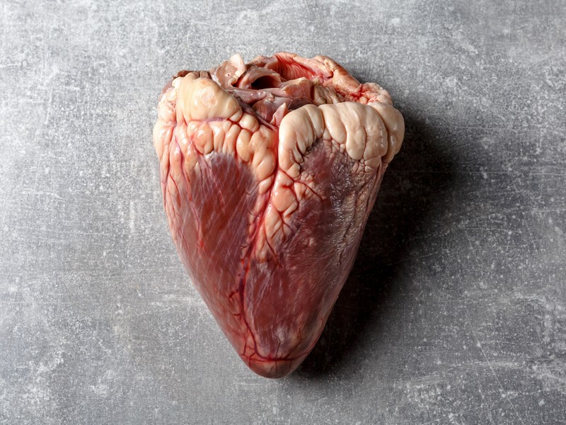 beef heart